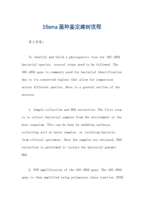 16srna菌种鉴定建树流程