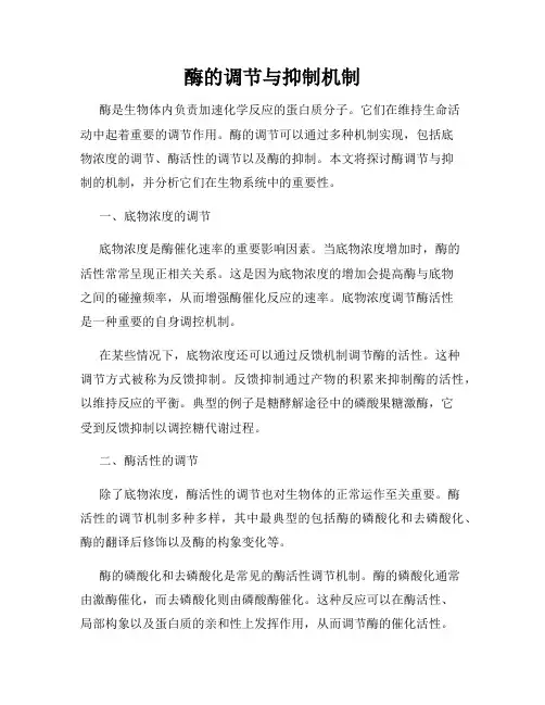 酶的调节与抑制机制