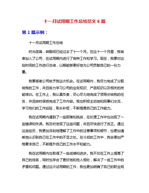 十一月试用期工作总结范文6篇