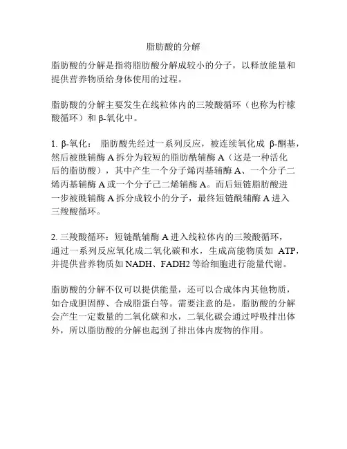 脂肪酸的分解