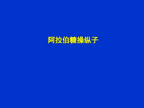 6-1阿拉伯糖操纵子