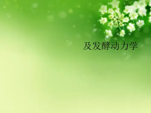 及发酵动力学