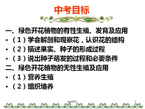 人与动物的生殖与发育  ppt课件