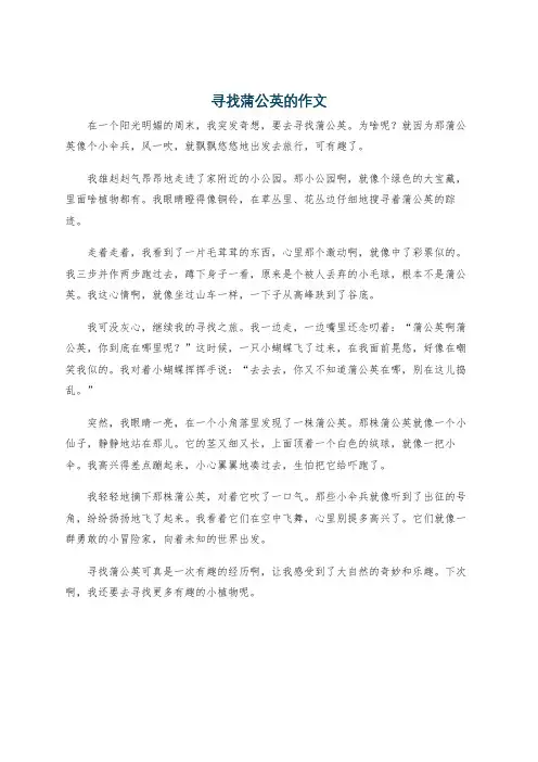 寻找蒲公英的作文