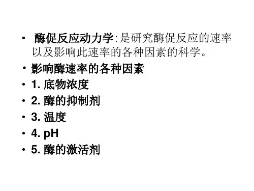 酶促反应动力学PPT课件