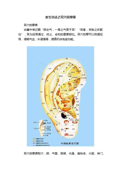养生功法之耳穴按摩操