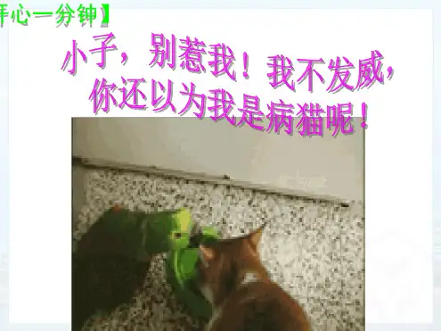 机械能及其转化课件