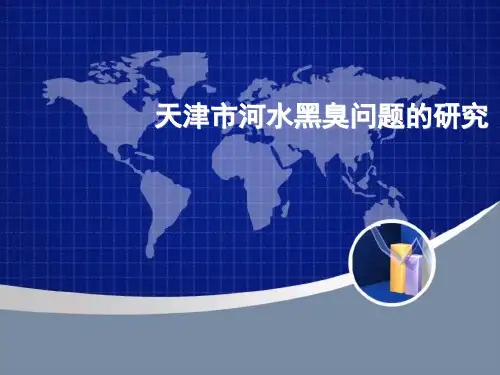 水环境PPT模版