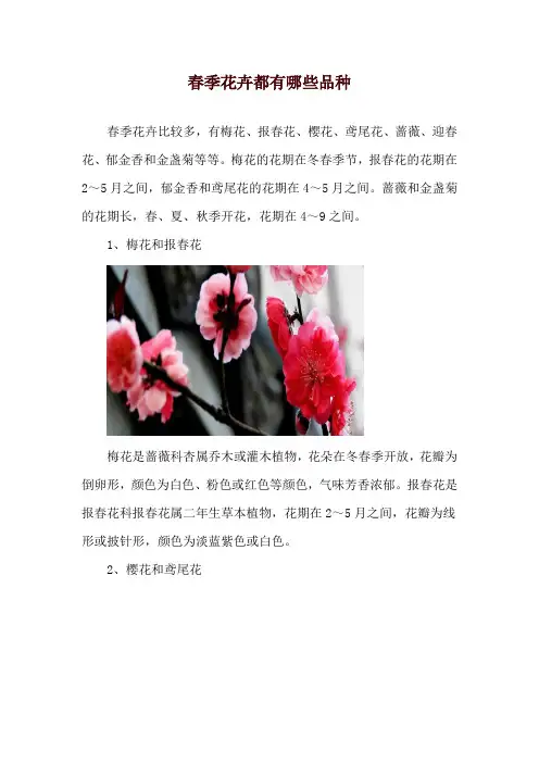 春季花卉都有哪些品种