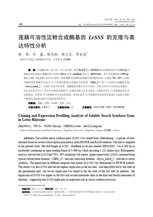 莲藕可溶性淀粉合成酶基因LrSSS的克隆与表达特性分析