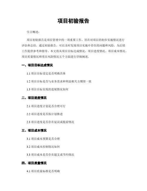 项目初验报告