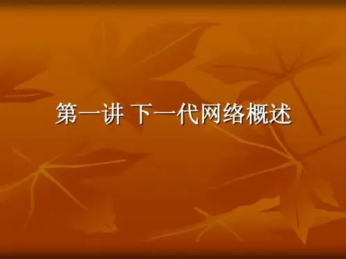 第1讲下一代计算机网络概述