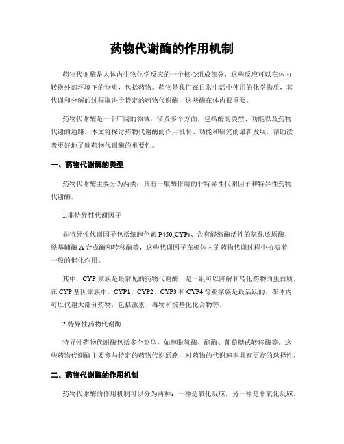 药物代谢酶的作用机制