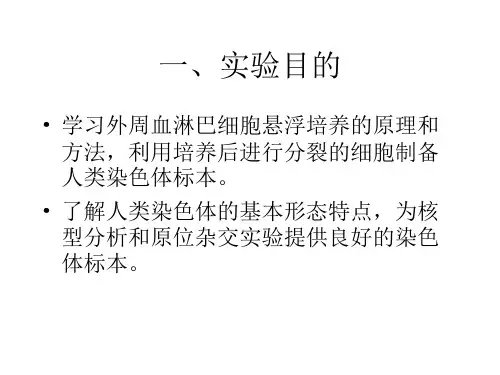 人类染色体分析外周血培养制备染色体标本