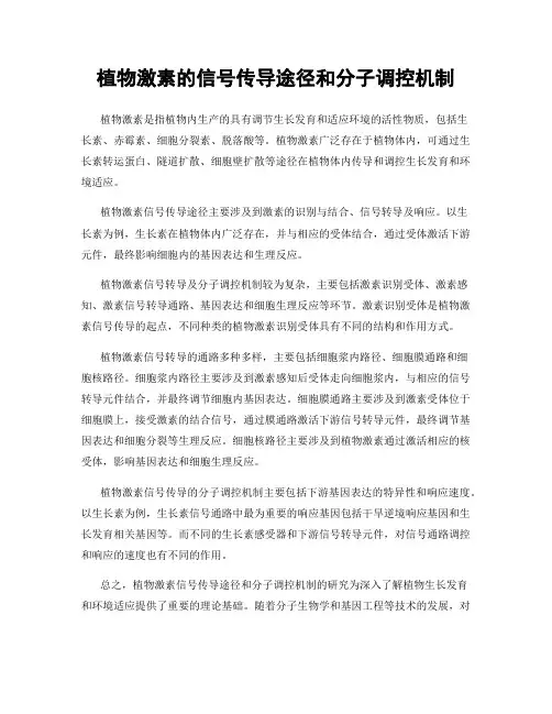 植物激素的信号传导途径和分子调控机制