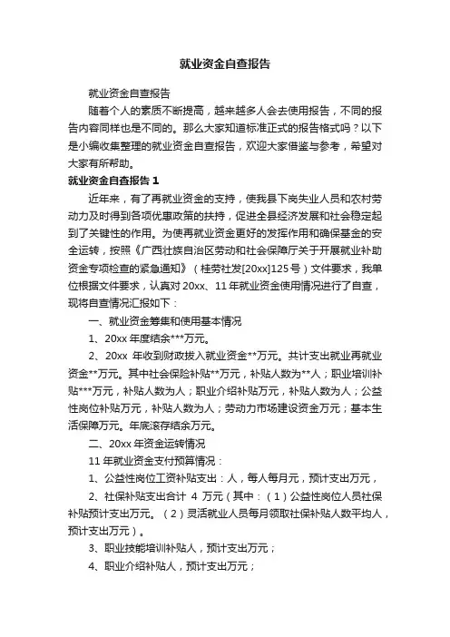 就业资金自查报告