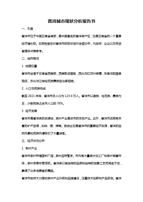 普洱城市现状分析报告书