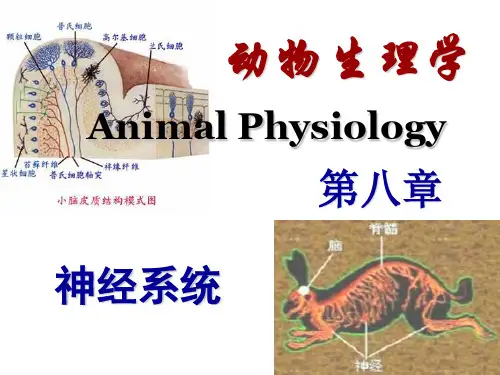 动物生理学 第八章