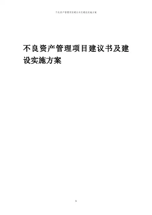 2024年不良资产管理项目建议书及建设实施方案