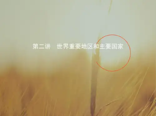2020版高考地理北京专用一轮课件：世界重要地区和主要国家 推荐