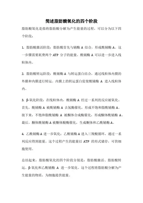 简述脂肪酸氧化的四个阶段