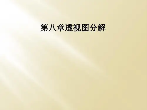 第八章透视图分解