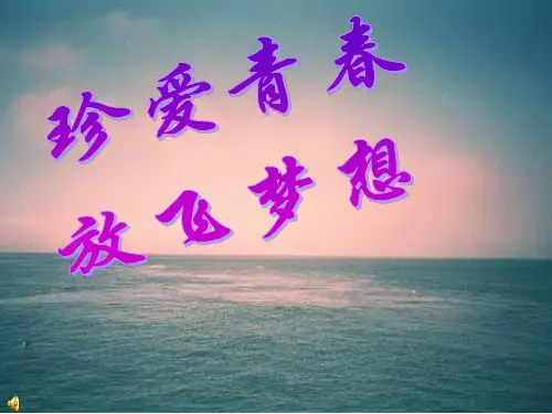 青春梦想主题班会PPT课件