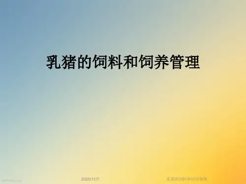 乳猪的饲料和饲养管理
