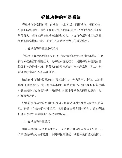 脊椎动物的神经系统