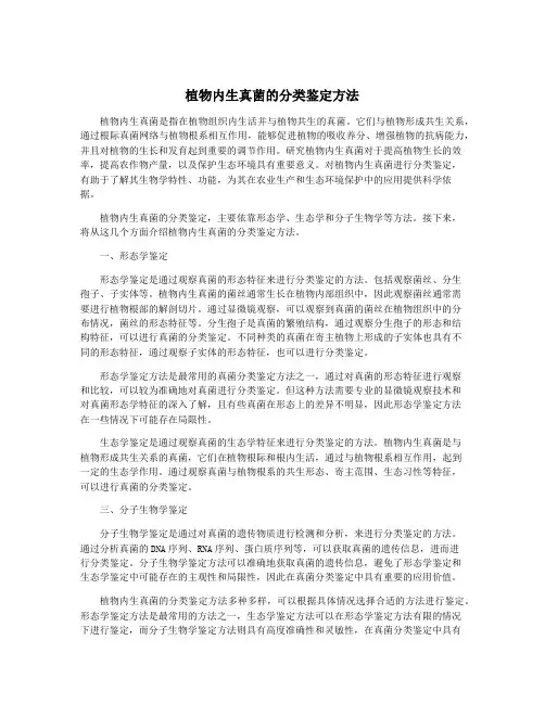 植物内生真菌的分类鉴定方法