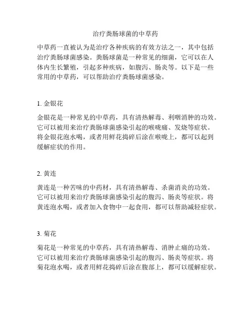 治疗粪肠球菌的中草药