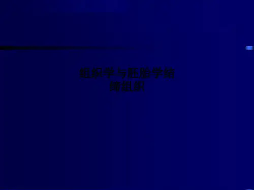 组织学与胚胎学结缔组织