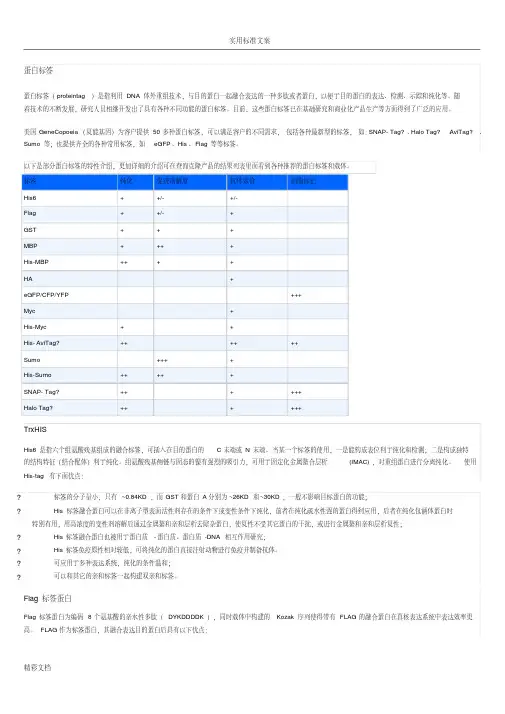 常见tag蛋白标签介绍