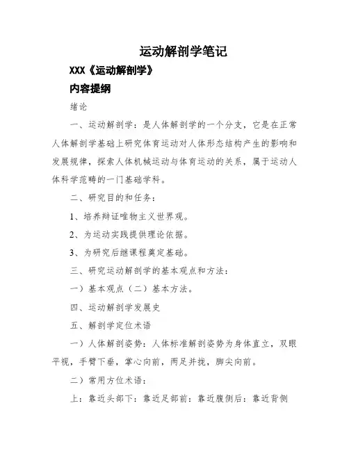 运动解剖学笔记