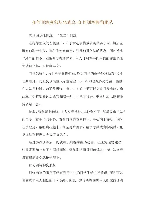 如何训练狗狗从坐到立-如何训练狗狗服从