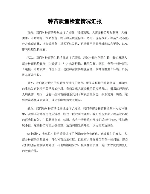 种苗质量检查情况汇报