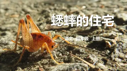 《蟋蟀的住宅》ppt课件