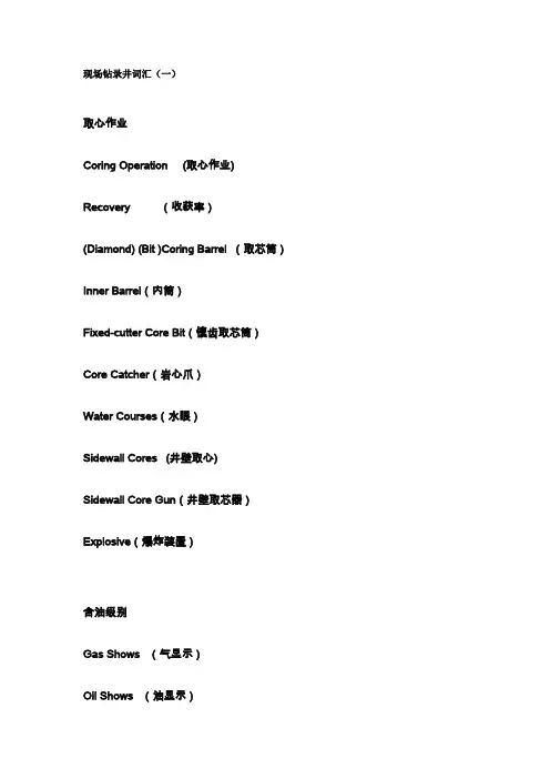 现场钻录井词汇