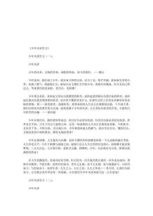 少年风采作文10篇(优秀版)