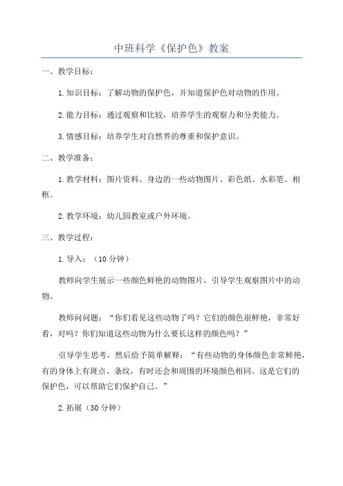 中班科学《保护色》教案