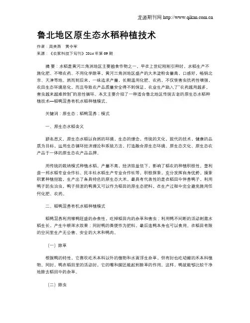 鲁北地区原生态水稻种植技术