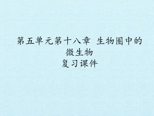 北师大版初中初二八年级上册生物：第五单元第十八章 生物圈中的微生物 复习课件