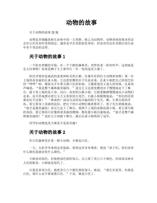 动物的故事