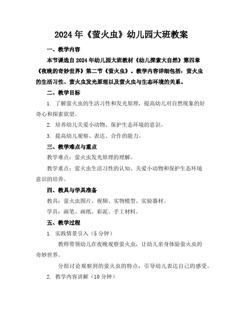 2024年《萤火虫》幼儿园大班教案