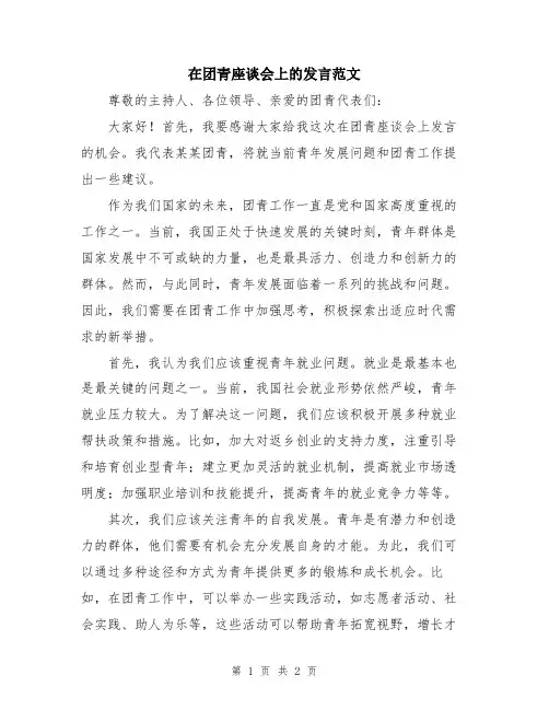 在团青座谈会上的发言范文