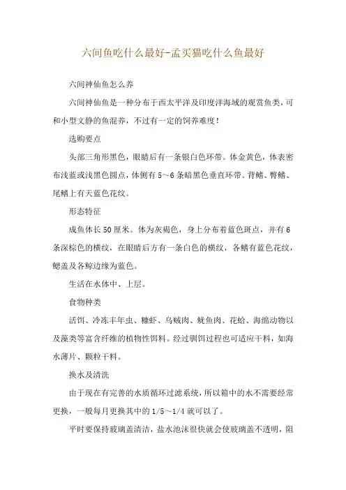 六间鱼吃什么最好-孟买猫吃什么鱼最好