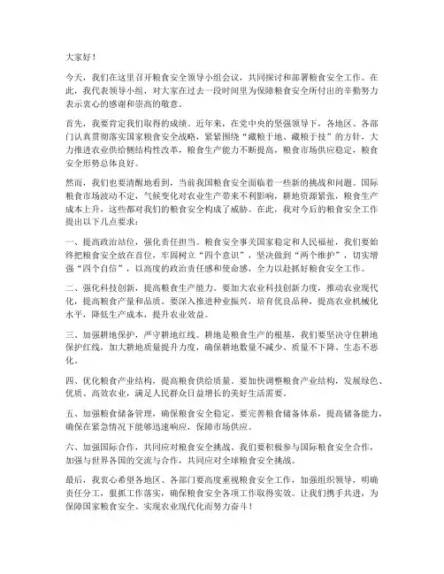 粮食安全领导点评发言稿