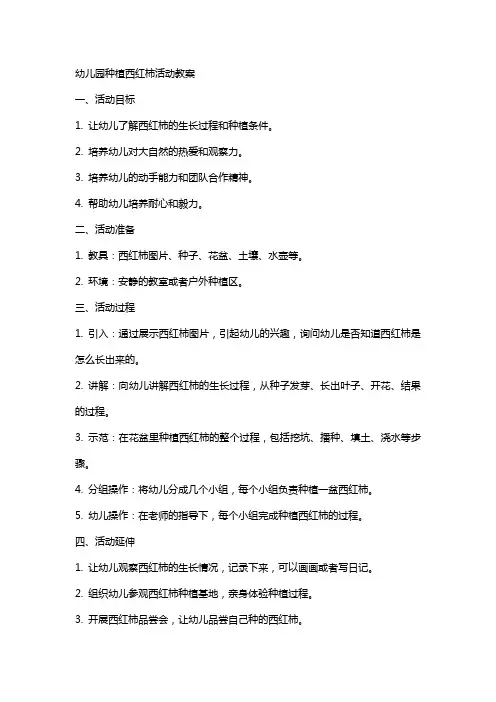 幼儿园种植西红柿活动教案