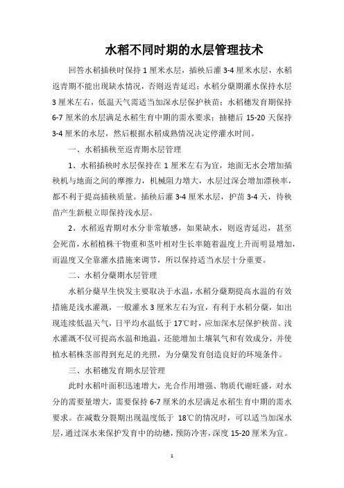 水稻不同时期的水层管理技术