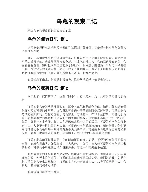 乌龟的观察日记